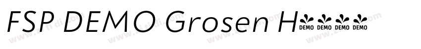 FSP DEMO Grosen H字体转换 FSP DEMO Grosen H字体转换